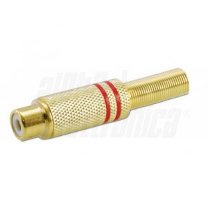 PRESA RCA POLARIZ ROSSA CON G/CAVO ORO