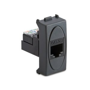 MODO PRESA RJ45 PLUG 8-8 GRIGIO