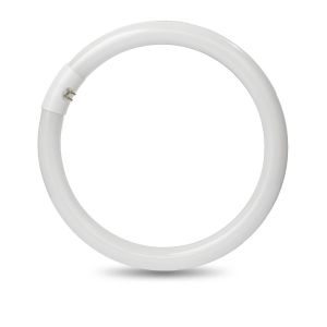 LAMP.CIRCOLINA TRIFOSF 32W 6000K DIAM. 29MM