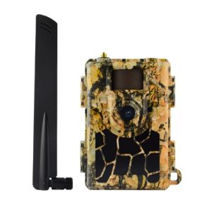 FOTOTRAPPOLA 4G HD 2MP/24MP