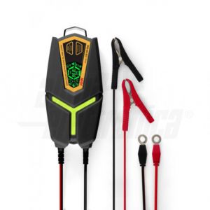 CARICABATTERIE 8A 12-24V 160AH 9FASI