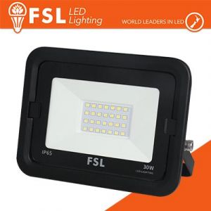 FARO PER ESTERNI 30W 6500K - IP65 NERO