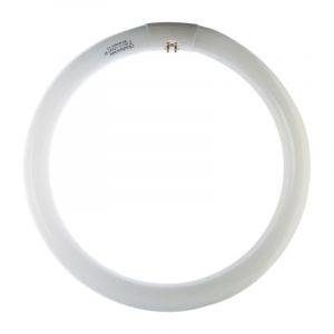 CIRCOLINA TRIFOSFORO T9 - 32W 6500K