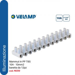 MORSETTI IN PP TBS - 10A - 10mm2                            