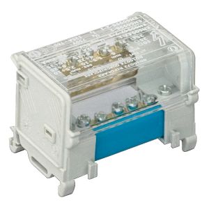 MORSETTIERA BIPOL. 100A CORTA