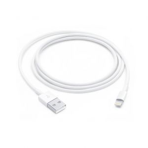 CAVO USB/LIGHTNING ORIGINALE APPLE 1MT