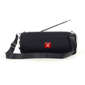 TECHMADE GEMBIRD CASSA SENZA FILO PORTATILE